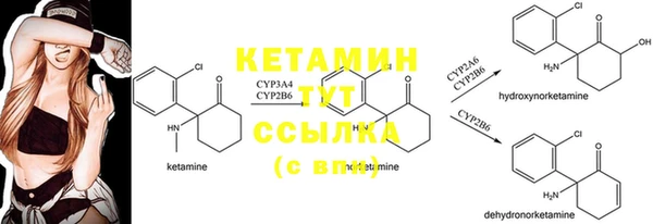 spice Всеволожск