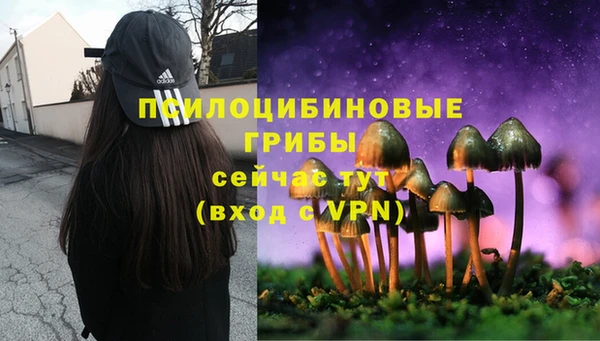 каннабис Горняк
