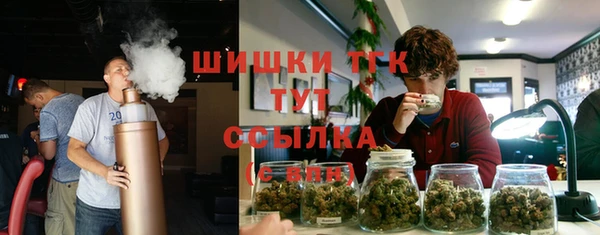 кристаллы Гусь-Хрустальный