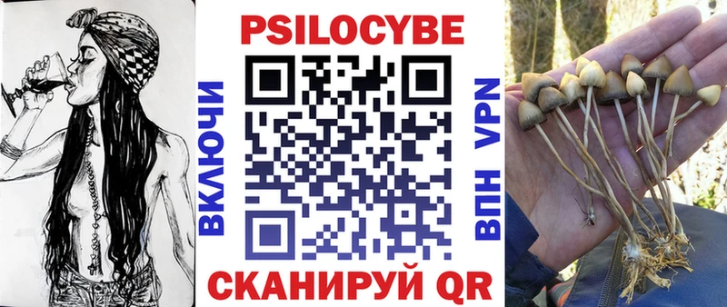 Псилоцибиновые грибы Cubensis  ОМГ ОМГ рабочий сайт  Дубовка 